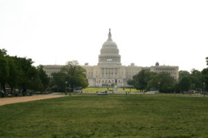 In 254 Days, Congress Protects Democracy By Going BLUE.  GOP Obliterated.